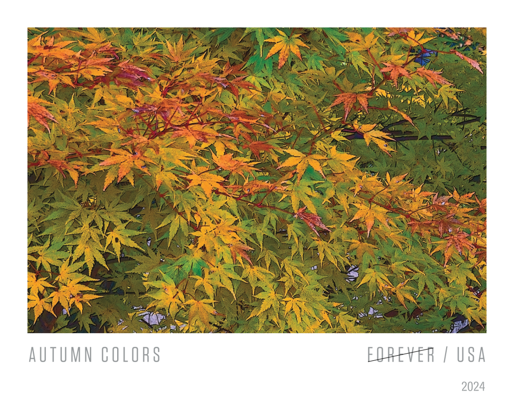 2024 Autumn Colors Stamps - Forever Stamps