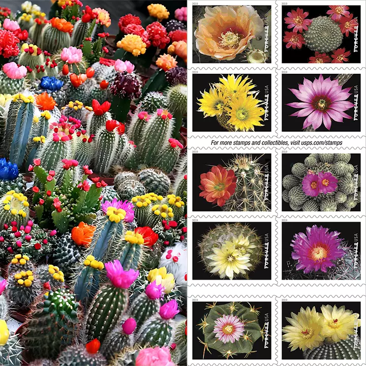 2019 Cactus Flowers Forever Stamps - Forever Stamps