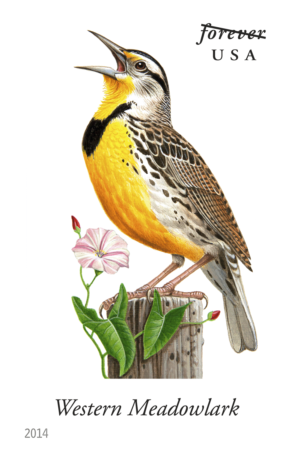 2014 Song Birds Stamps - Forever Stamps