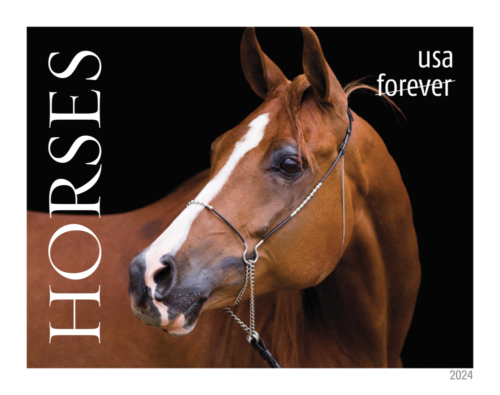 2024 Horses Stamps - Forever Stamps