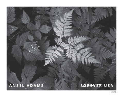 2024 Ansel Adams Stamps - Forever Stamps