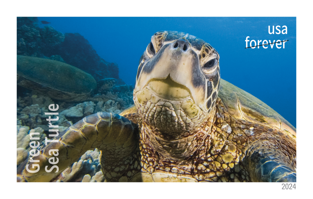 2024 Protect Sea Turtles Stamps - Forever Stamps